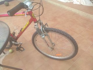 Bicicleta de montaña Romani