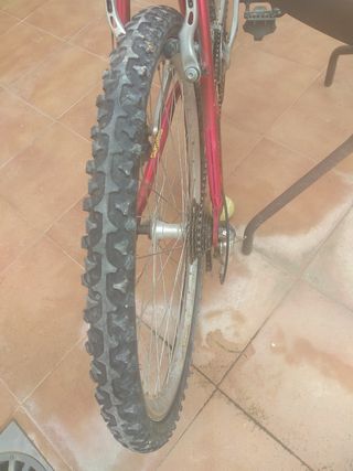 Bicicleta de montaña Romani