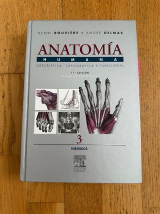 Anatomía Humana - Miembros 