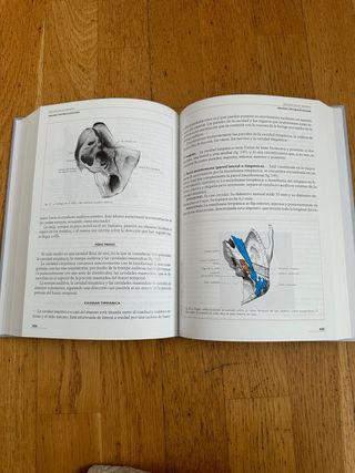 Anatomía Humana - Cabeza y Cuello