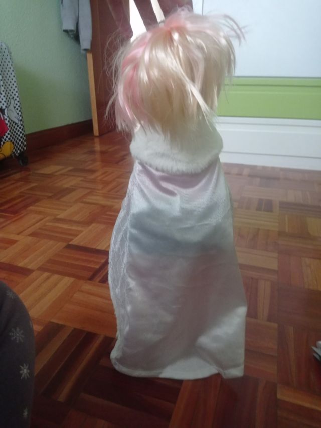 Nancy patinadora sobre hielo