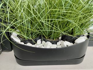 Planta artificial