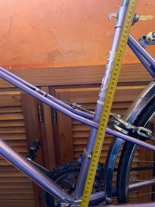Bicicleta BH Gacela