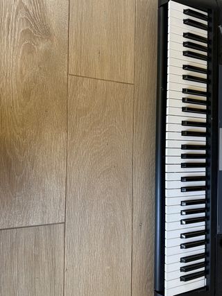 Órganos Yamaha YPT-230