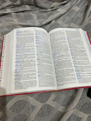 diccionario valenciano