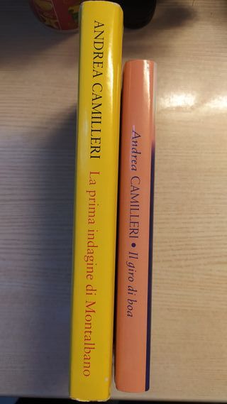 Libri Andrea Camilleri