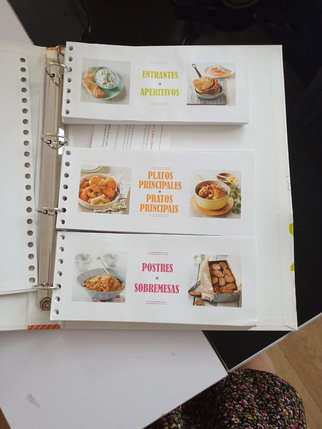 Robot de cocina moulinex companion