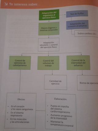 Educación física 2 Eso .