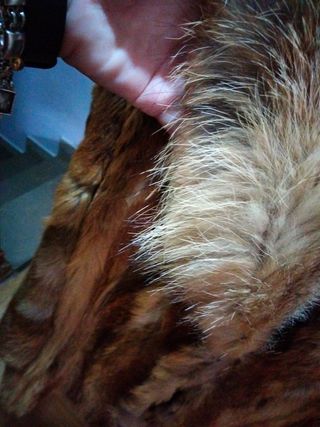 Chaquetón de zorro rojo