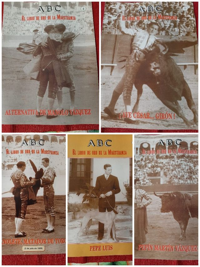 Colección vasos taurinos y fasciculos.