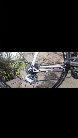 Bicicleta carretera Prorace Campagnolo Ultegra
