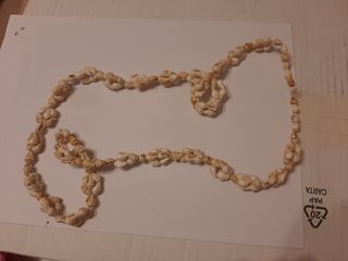 Collana di conchiglie