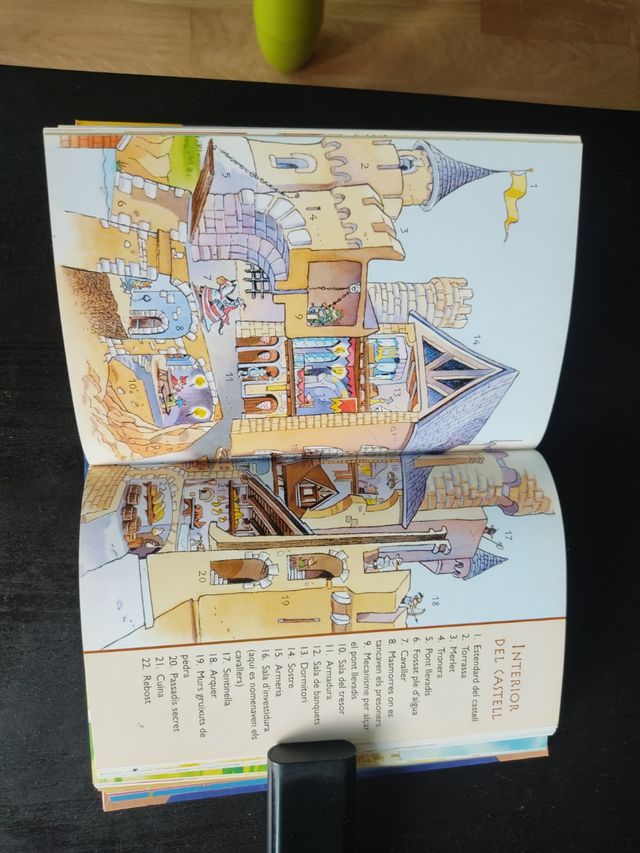 Libro Gerónimo Stilton.