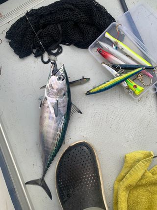 NEUMATICA ZODIAC PARA PESCA Y PASEO