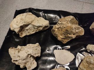 Piedras decorativas acuario 