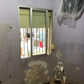Pintor Económico 