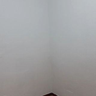Pintor Económico 