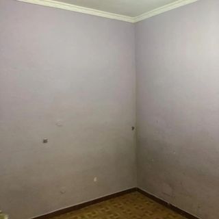 Pintor Económico 