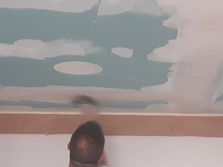 Pintor Económico 