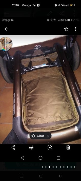 Caro completo de Jane Rider