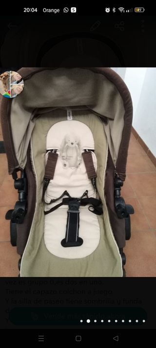 Caro completo de Jane Rider