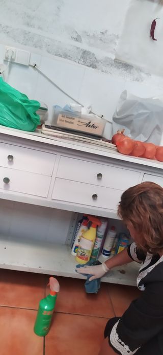 Servicio de limpieza