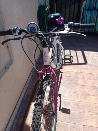 Bicicleta no incluye casco.