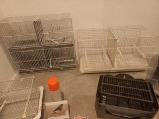 Jaulas y accesorios de pájaros