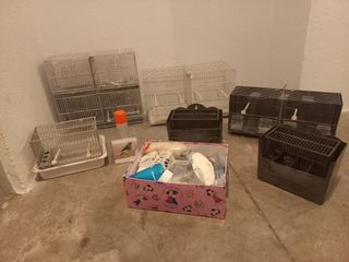 Jaulas y accesorios de pájaros