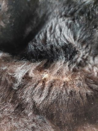 Abrigo de pelo largo