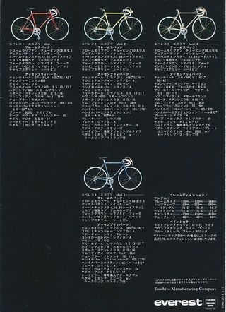 Bicicleta de cicloturismo vintage