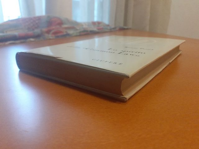 Lo spirito della Common Law. R.Pound
