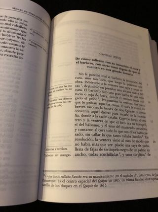 DON QUIJOTE DE LA MANCHA I