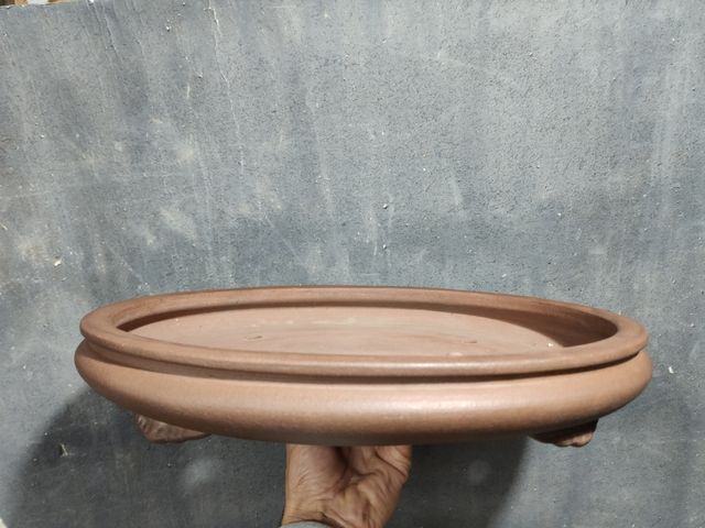 Maceta bonsai japonesa