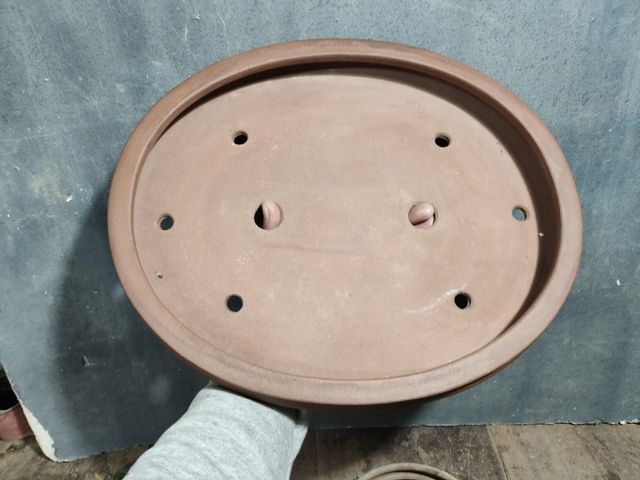 Maceta bonsai japonesa