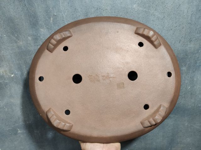 Maceta bonsai japonesa