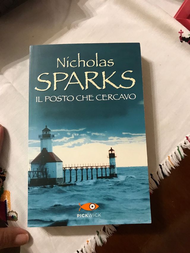 Libro Il posto che cercavo