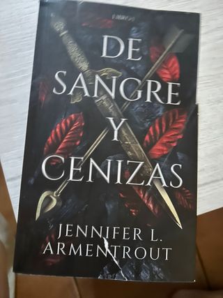 libro: de sangre y cenizas 