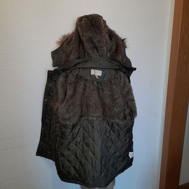 Abrigo de Springfield