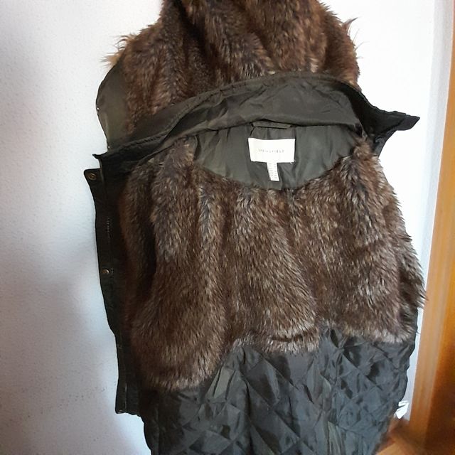 Abrigo de Springfield