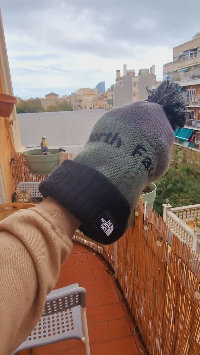 Gorra the north face