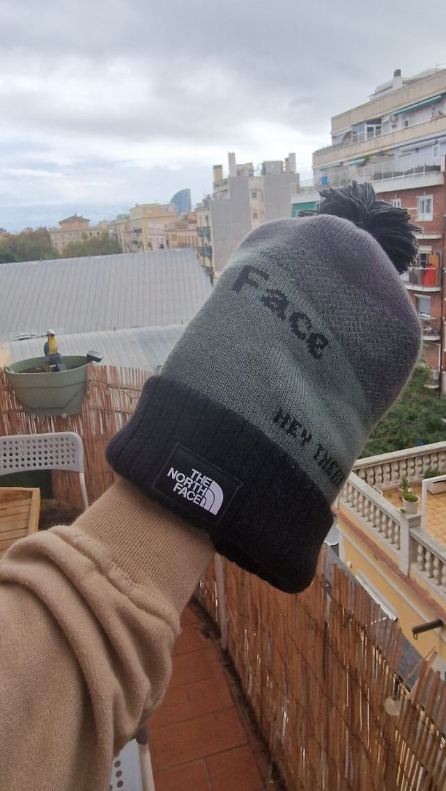 Gorra the north face