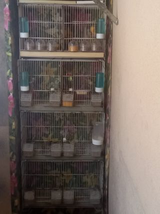 Jaulas 
