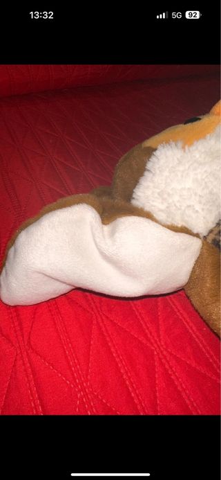 Peluche con tasca posteriore