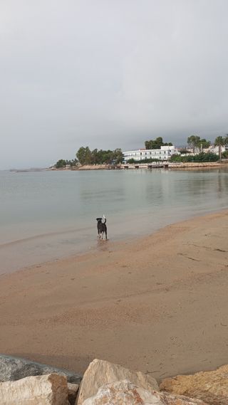 Alquiler vacacional del 20 de junio al 20 septiemb
