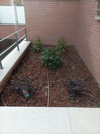 Servivios de Jardinería