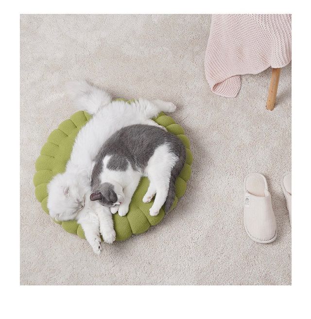 LIQUIDACIÓN cama gato Cookie galleta