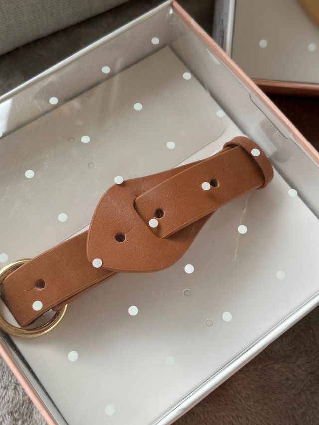 LIQUIDACION correa y collar PREMIUM perro o gato