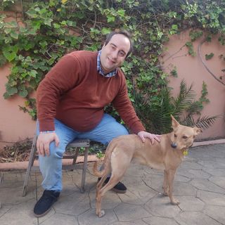 Cuidador y paseador de perros profesional Marbella
