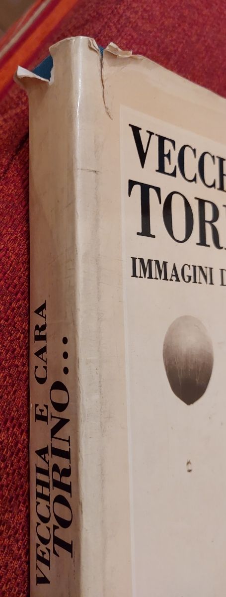 Libro Vecchia e Cara Torino